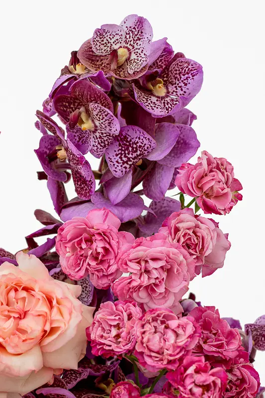 2023-06-12_BLISS_02-5.webp