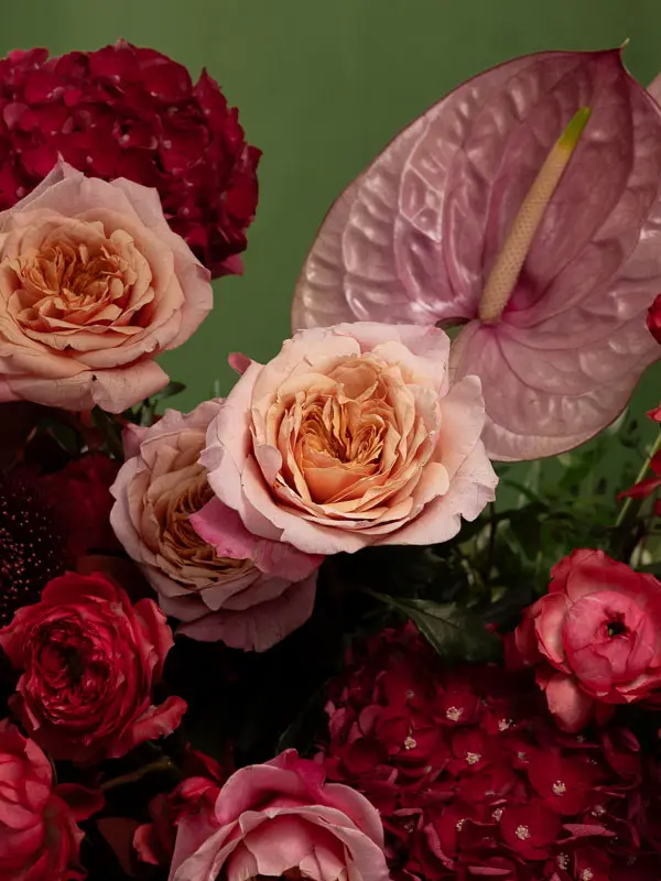 Bliss-1720.webp