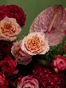 Bliss-1720.webp