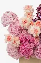 2023-06-12_BLISS_02-4.webp