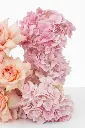 2023-06-12_BLISS_02-13.webp