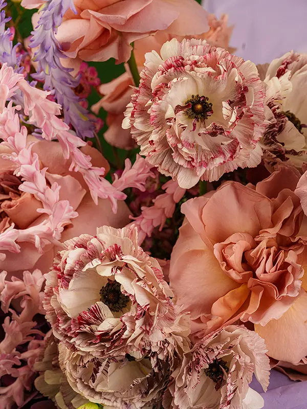 DSC01359_.webp
