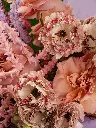 DSC01359_.webp
