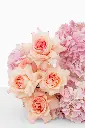 2023-06-12_BLISS_02-12.webp
