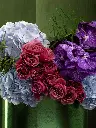 Bliss-2462-Edit-4.webp