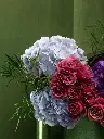 Bliss-2462-Edit-3.webp