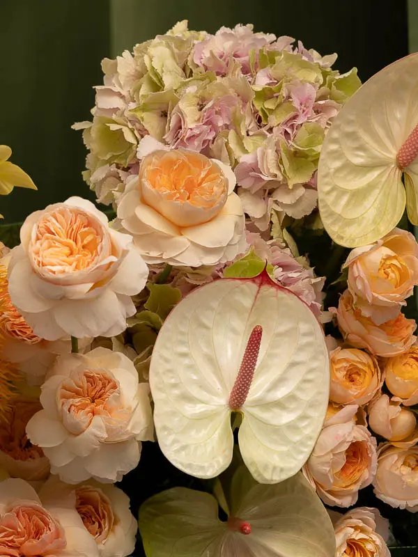Bliss-2393.webp