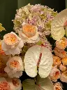 Bliss-2393.webp