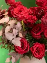 Bliss-shoot-098.webp