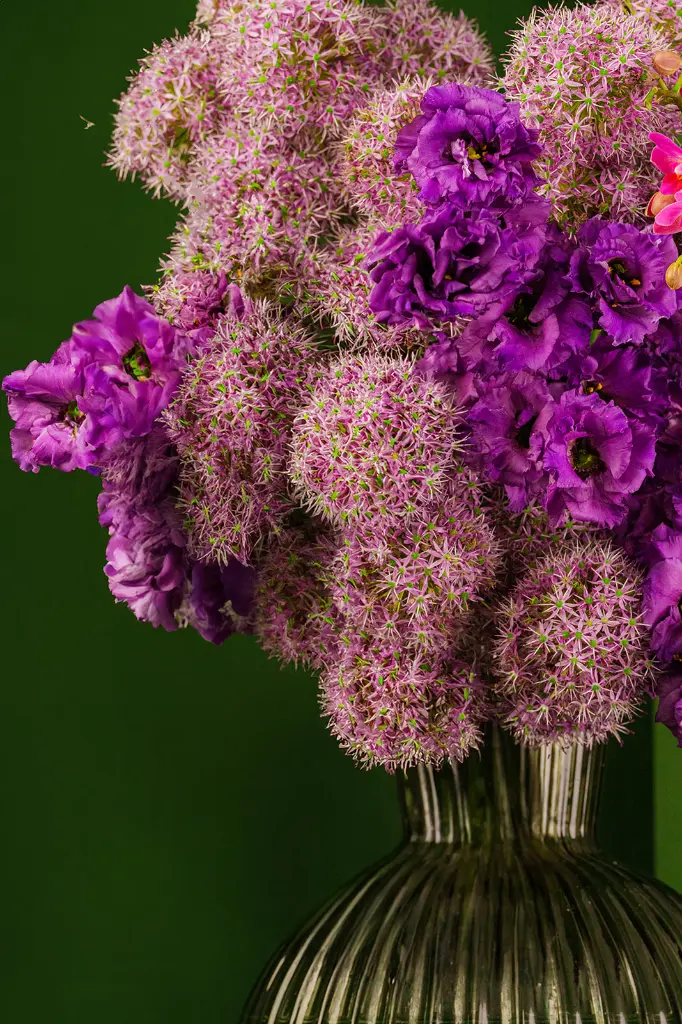 DSC01238_a_websize.webp