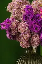 DSC01238_a_websize.webp