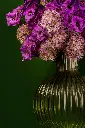 DSC01244_a_websize.webp