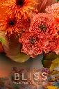 DSC01458.webp