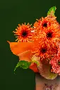 DSC01448.webp