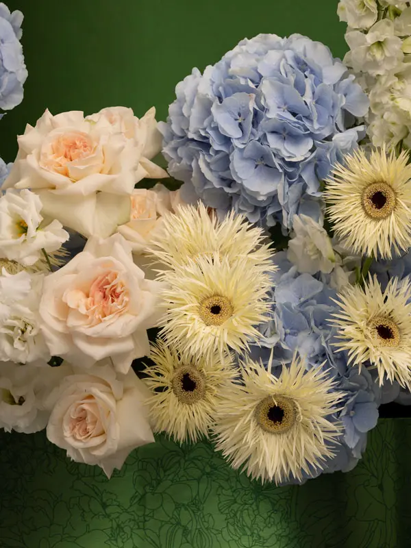 Bliss-2675.webp