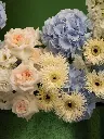 Bliss-2675.webp