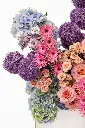 2023-06-12_BLISS_06-4.webp