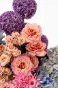 2023-06-12_BLISS_06-6.webp