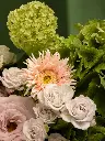 Bliss-2334.webp