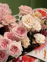 Bliss-2694.webp