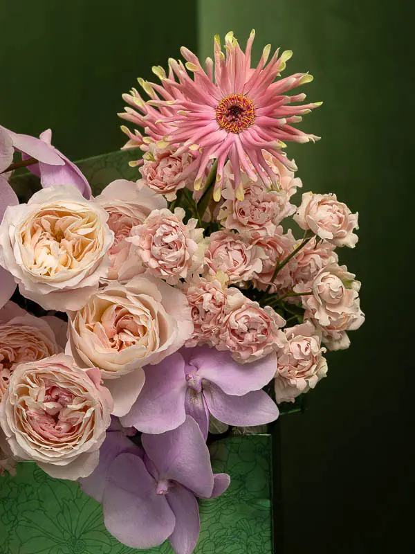 Bliss-2516.webp