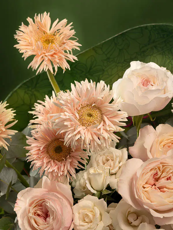Bliss-1922.webp