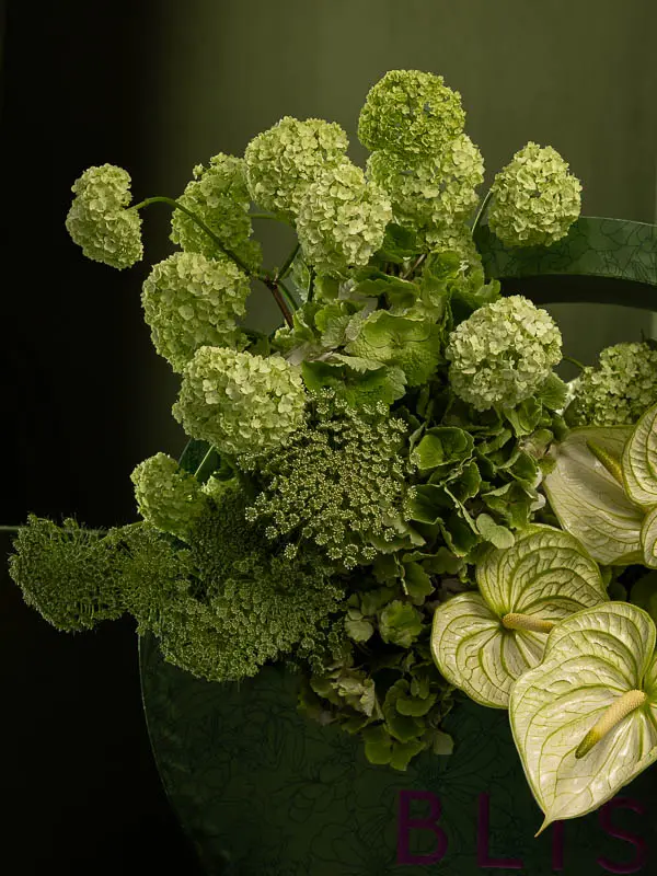 Bliss-1840.webp