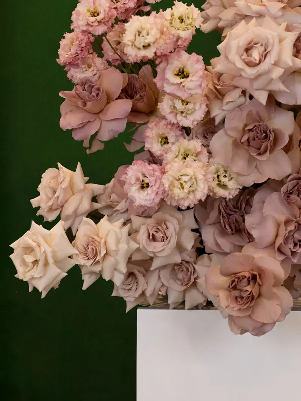 2_Website_IMGL5868.webp