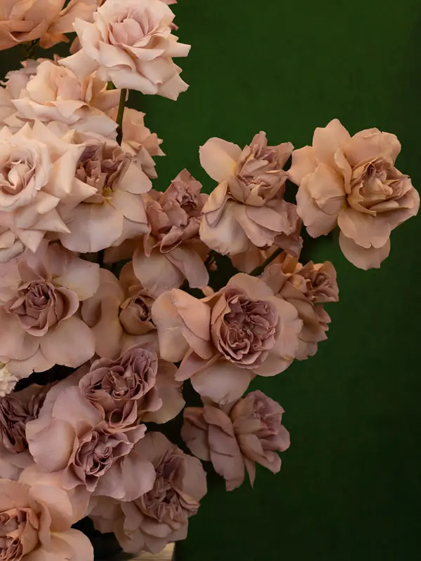 2_Website_IMGL5869.webp