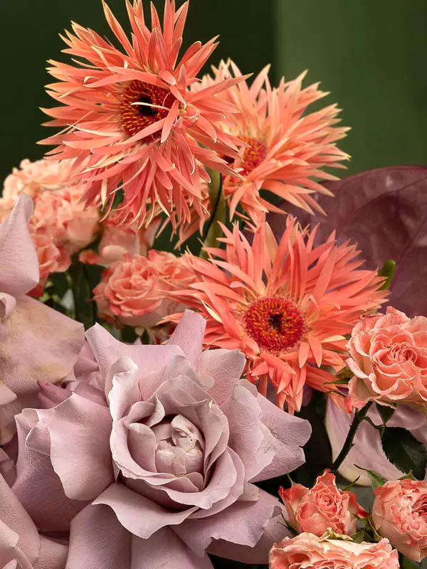 Bliss-2824.webp