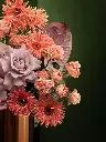 Bliss-2823.webp