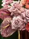 Bliss-2827.webp