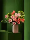 Bliss-1622.webp