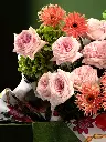 Bliss-1577.webp