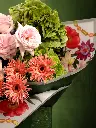 Bliss-1572.webp