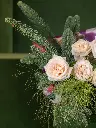 2024-11-04_BLISS-2.webp