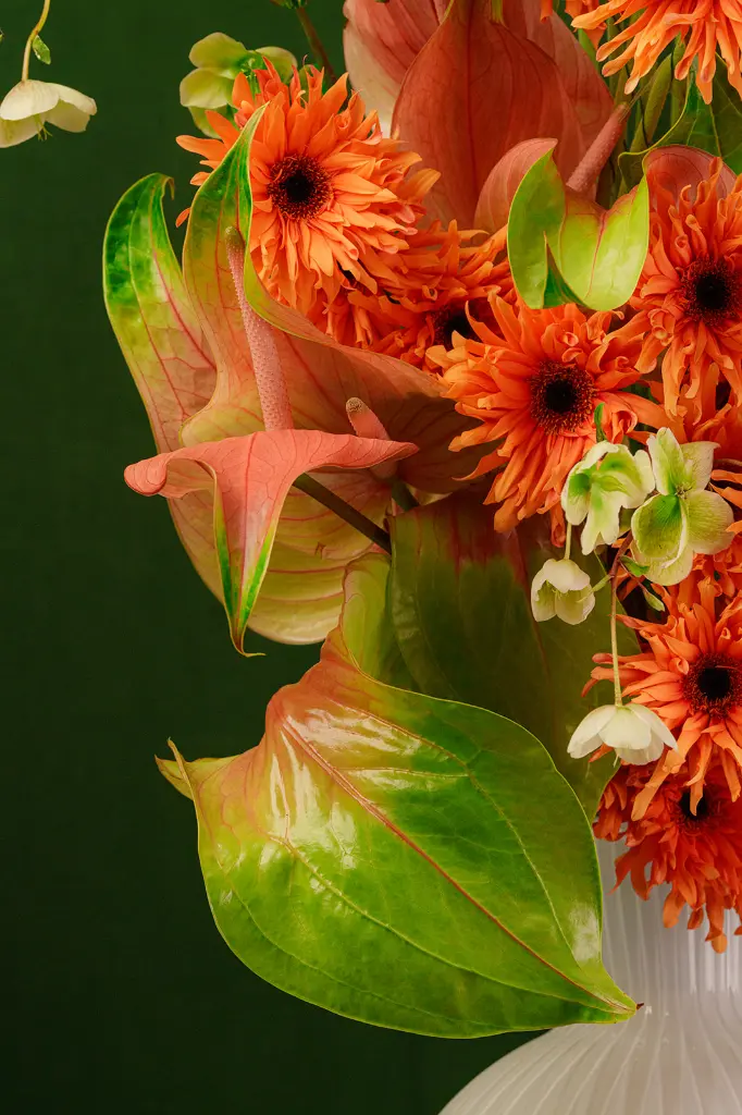 DSC01305_a_websize.webp