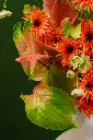 DSC01305_a_websize.webp