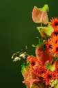 DSC01309_a_websize.webp