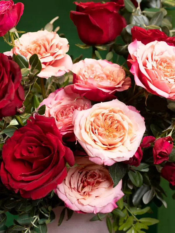 bliss-219.webp