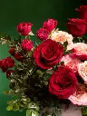 bliss-218.webp