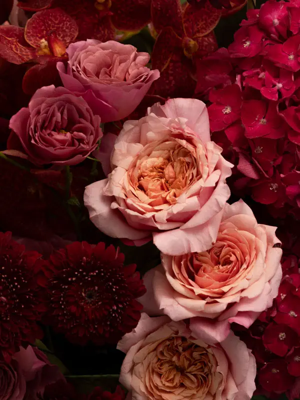 Bliss-2321.webp