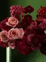 Bliss-2323.webp