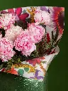 BLISS-285.webp
