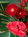 2024-10-21_BLISS-19.webp
