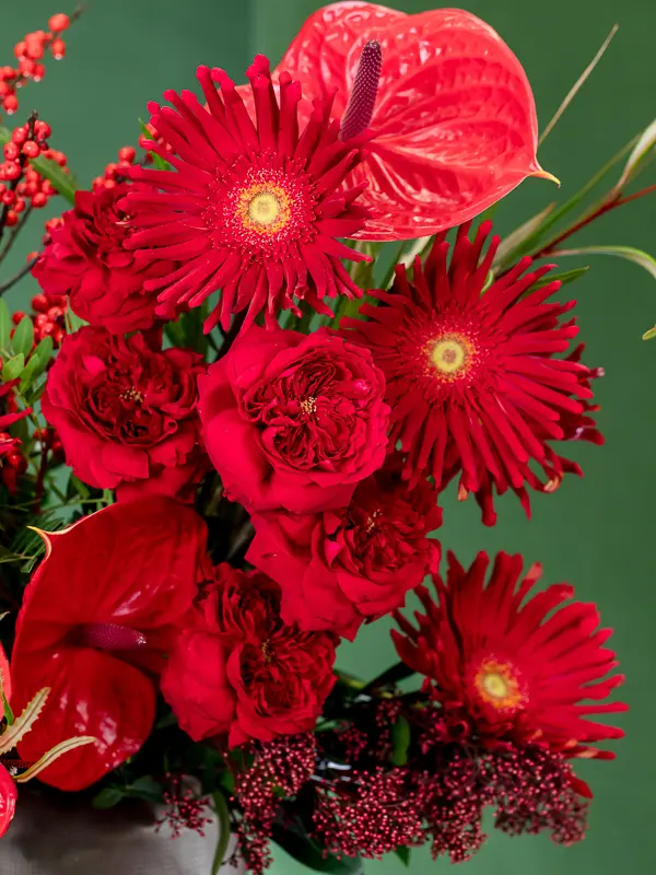 2024-10-21_BLISS-18.webp