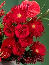 2024-10-21_BLISS-18.webp