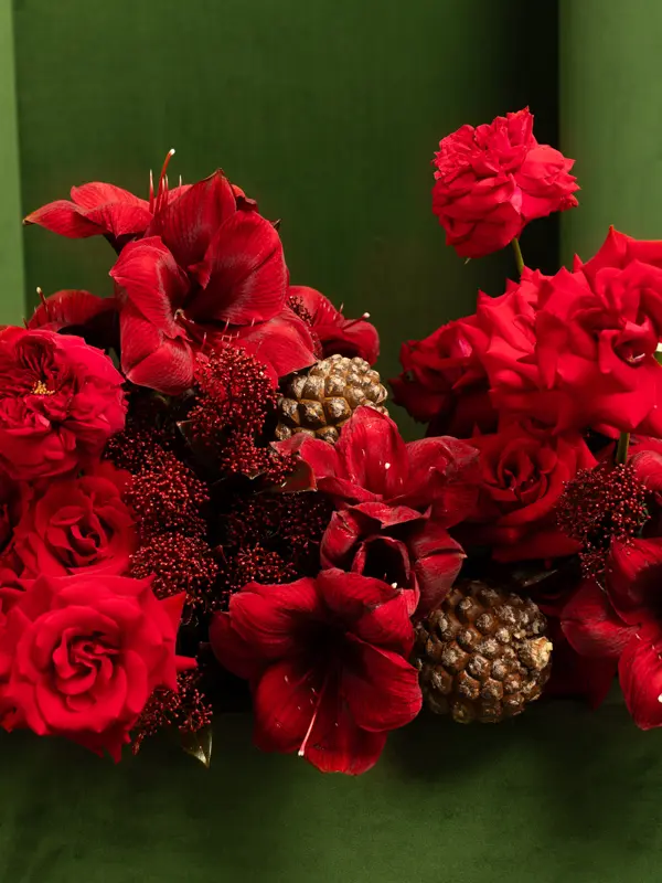 1D1A3450.webp