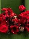 1D1A3450.webp