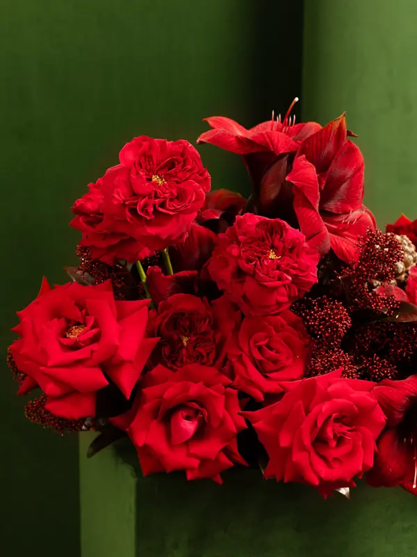 1D1A3446.webp